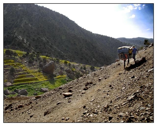 toubkal 194 (Small).jpg